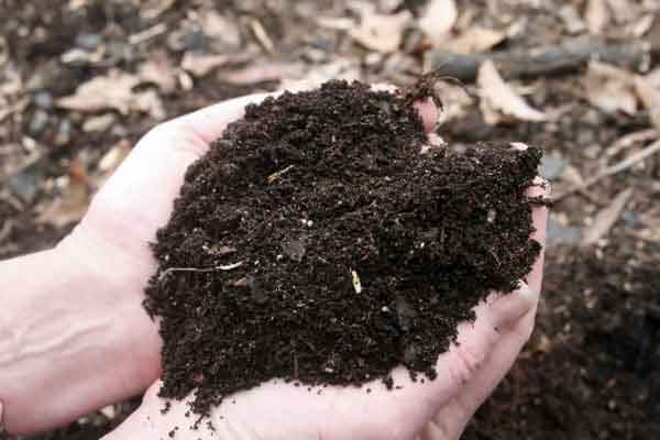 Mulch and Composting | Landscaping & Hardscaping