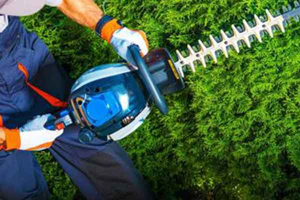 Tree & Shrub Trimming | Landscaping & Hardscaping