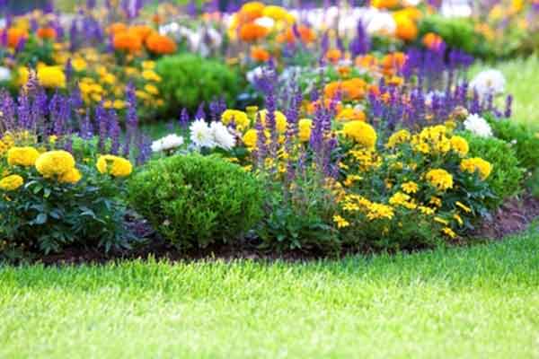 Flower Bed Maintenance | Landscaping & Hardscaping